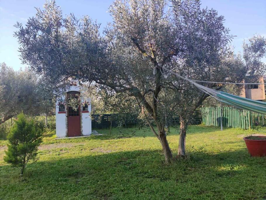 TagaradesΠετρινη Κατοικια Στην Φυση别墅 外观 照片